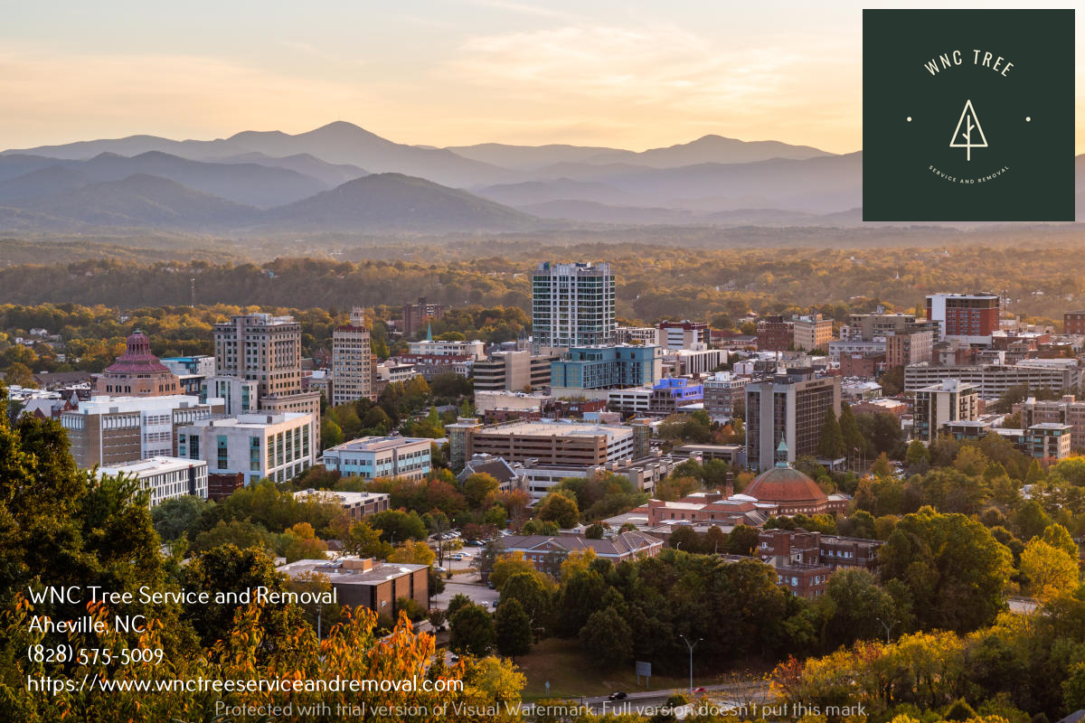 WNC Tree Service and Removal Image